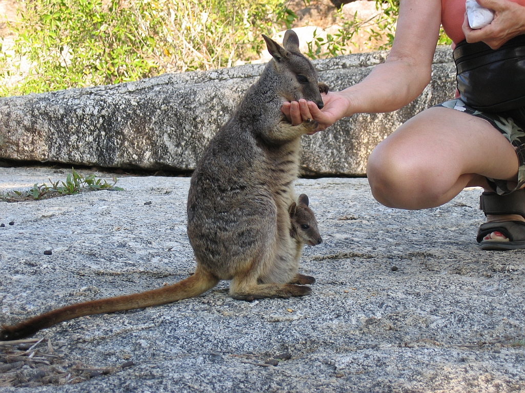 CairnsTC130 Granite Gorge.jpg